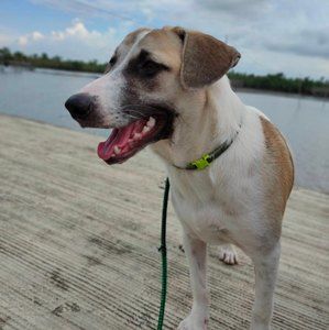 Meet your Posher, Christian